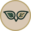Eco-Friendly icon